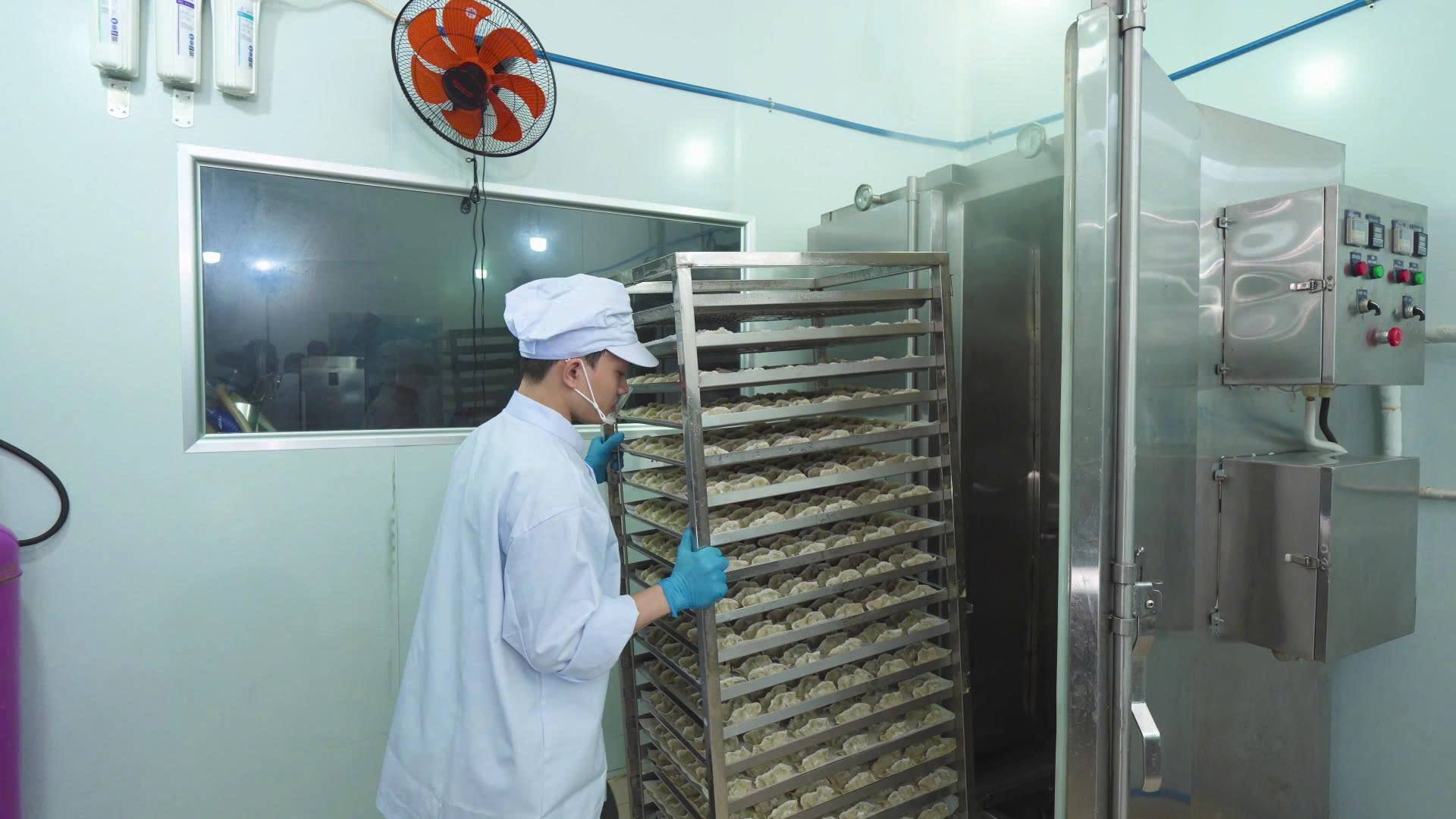 Hấp & Cấp Đông